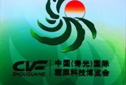 寿光新闻爆料网最新,聚焦民生热点，传递最新动态