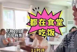 辽宁最新爆料新闻视频,揭秘重大事件背后真相